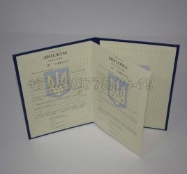 Диплом Бакалавра Украины 1996г в Омске