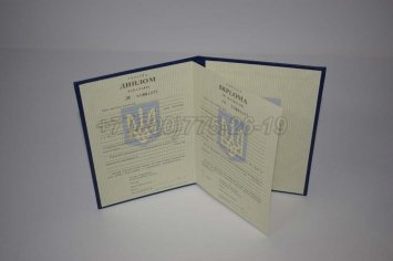 Диплом Бакалавра Украины 1996г в Омске