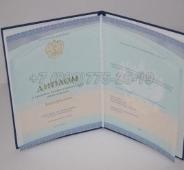 Диплом Техникума 2022г СпецБланк в Омске