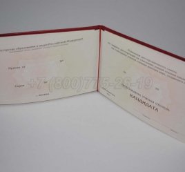 Диплом Кандидата Наук 2017г в Омске