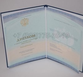 Диплом Техникума 2023г СпецБланк в Омске