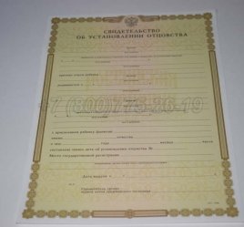 Свидетельство об Установлении Отцовства 2021г в Омске