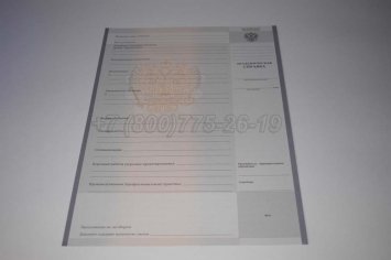 Академическая Справка Техникума 2022г в Омске