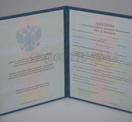 Диплом MBA 2019г в Омске