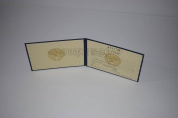 Диплом Техникума Советского Союза 1995г в Омске