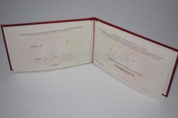Диплом Кандидата Наук 2019г в Омске