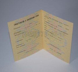 Свидетельство о Браке 1981г РСФСР в Омске